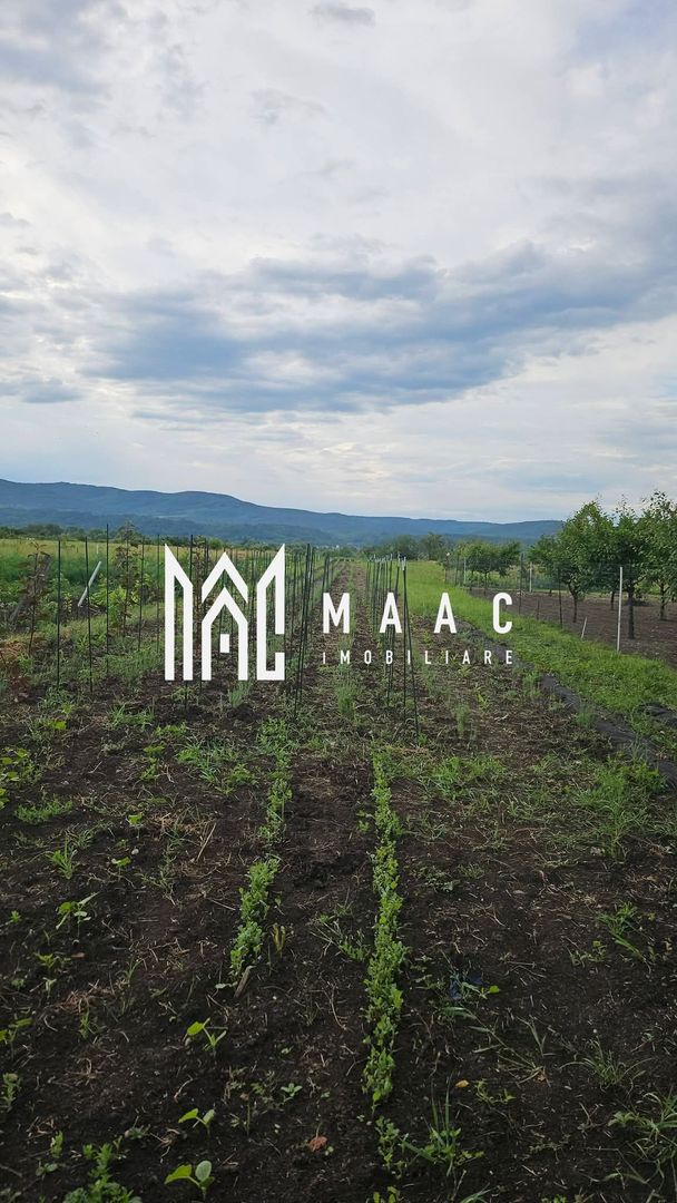 Teren intravilan de vânzare | Râmnicu Vâlcea | 2.800 mp - Poză 3