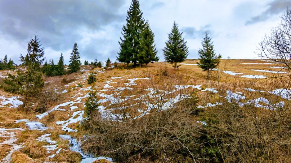 Teren 9511 mp + casa, intravilan, în Beliș Munții Apuseni, Cluj - Poză 7