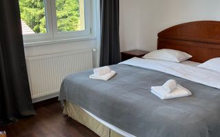 Casă de vacanța / Vilă în Păltiniș cu piscina acoperită și încălzită - Poză 11