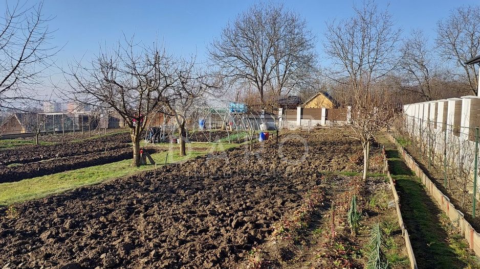 🔥 Teren intravilan 650 mp | Târgu Mureș | 50.000€ | Construibil - Poză 5