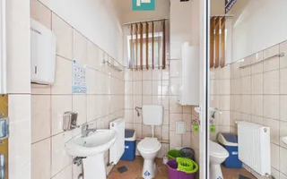 Centru comercial P+1 de închiriat, zona Vlaicu - Poză 16