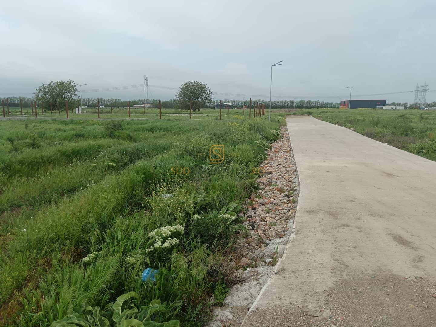 Teren de vanzare, Frumusani, Ilfov, ideal investitie, DNCB - Poză 11