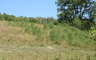 Terenuri Carpinis I parcelabil I Curent pe proprietati - Poză 61