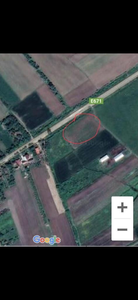 Ag EUROPA vinde 3153mp teren INTRAVILAN langa SOSEA la iesirea din Doba. - Poză 2