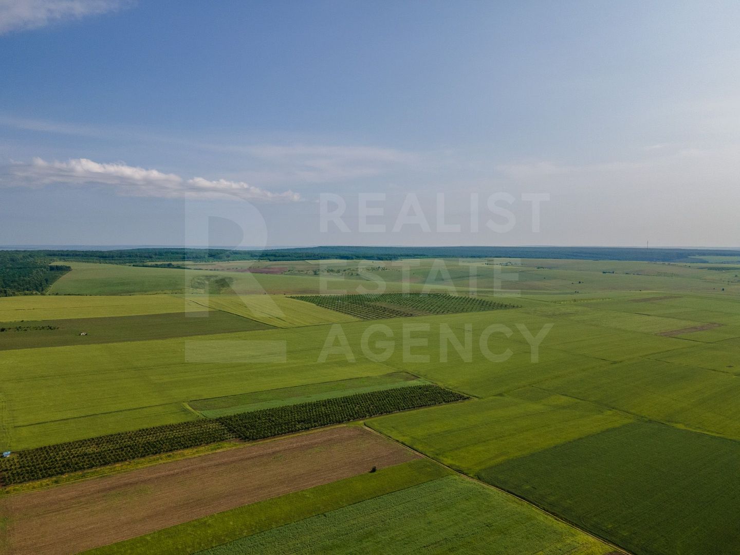 Vînzare, teren agricol, 25,3 ha, s. Peresecina, Orhei. - Poză 4