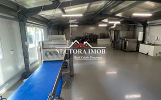 NECTORA IMOB-Hala industriala 250 mp, Sanmartin, Camera Frig,Sanmartin - Poză 1