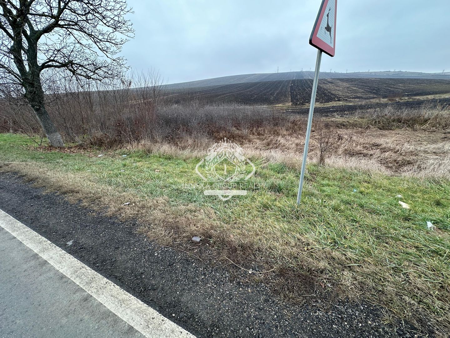 Teren 13.780 mp, Apahida, Cluj - Ideal pentru Investiție - Poză 8