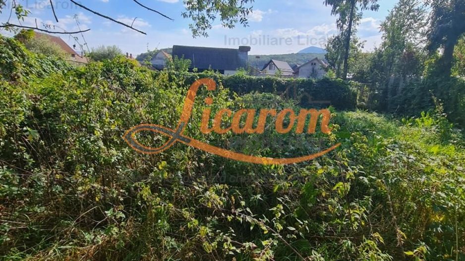 Casa individuala cu 3 camere,CODLEA - DUMBRAVITA ,65000 euro - Poză 9