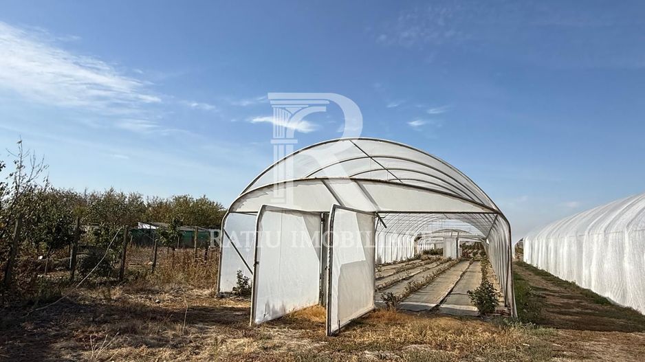 Teren intravilan agricol | 7029 mp | Satu Nou | Bihor - Poză 7
