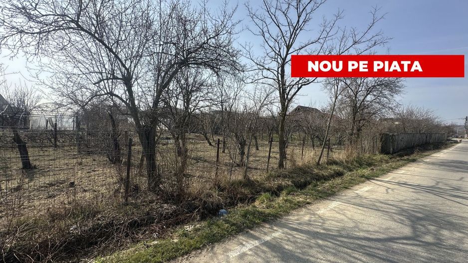 Teren 800 mp intravilan str. Olteni, Mosoaia, Arges - Poză 2