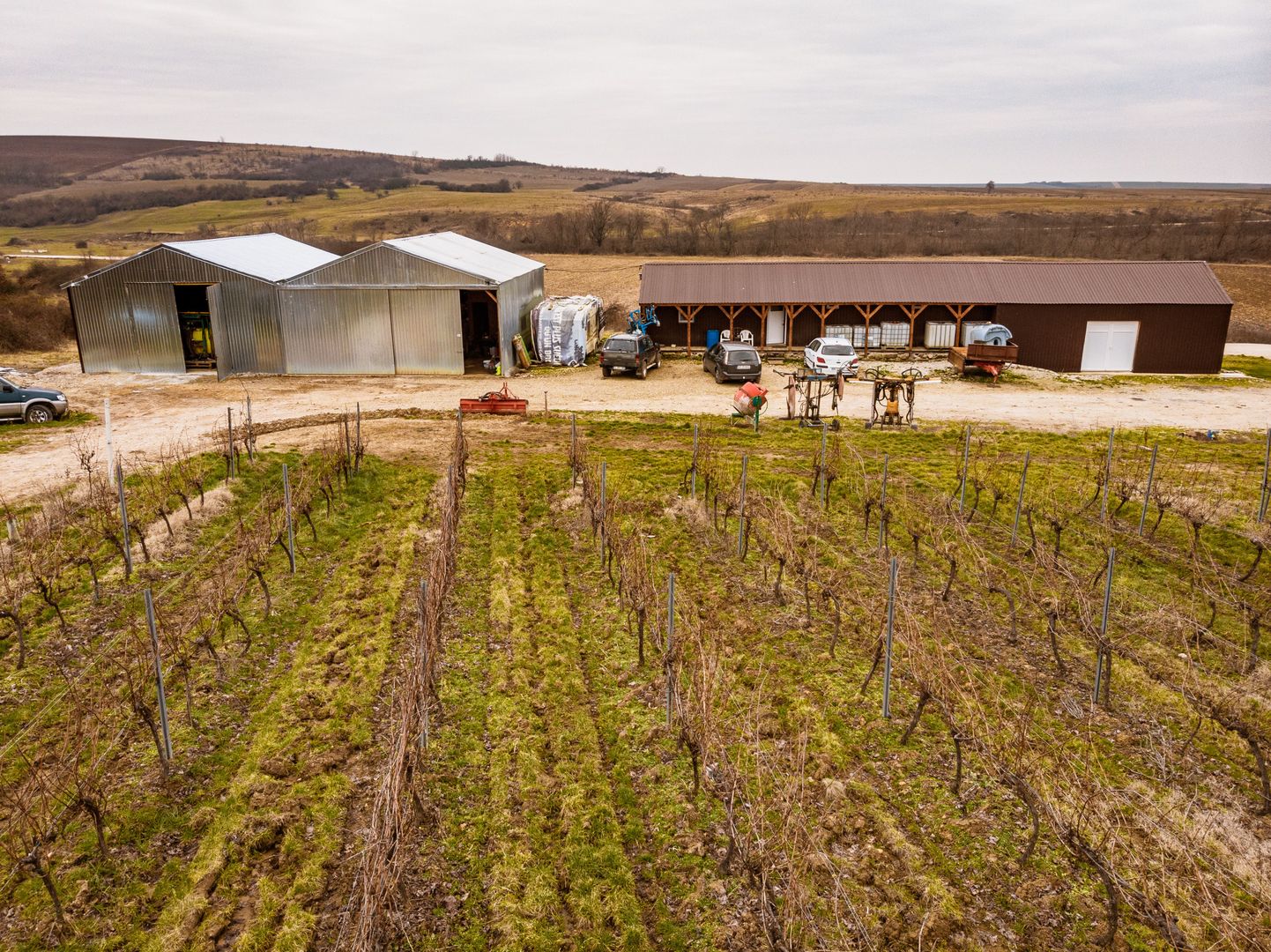 Vie de 115 Hectare în satul Dud, județul Arad - Poză 2