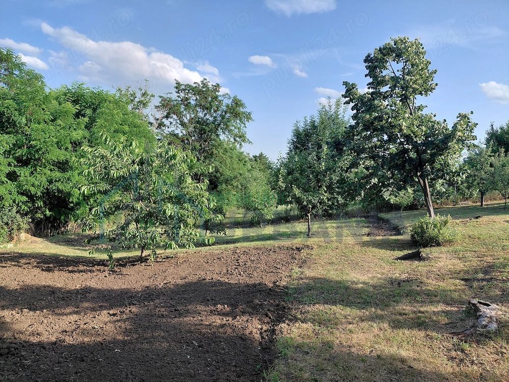 Vânzare teren pentru construcție locuință - Poză 1