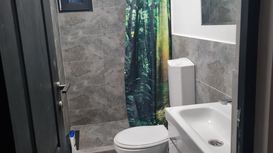 Casa individuala de inchiriat, 3 dormitoare, 120 MP, curte generoasa - Poză 7