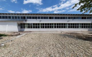 Hala Depozitare de Inchiriat Pitesti - Poză 2