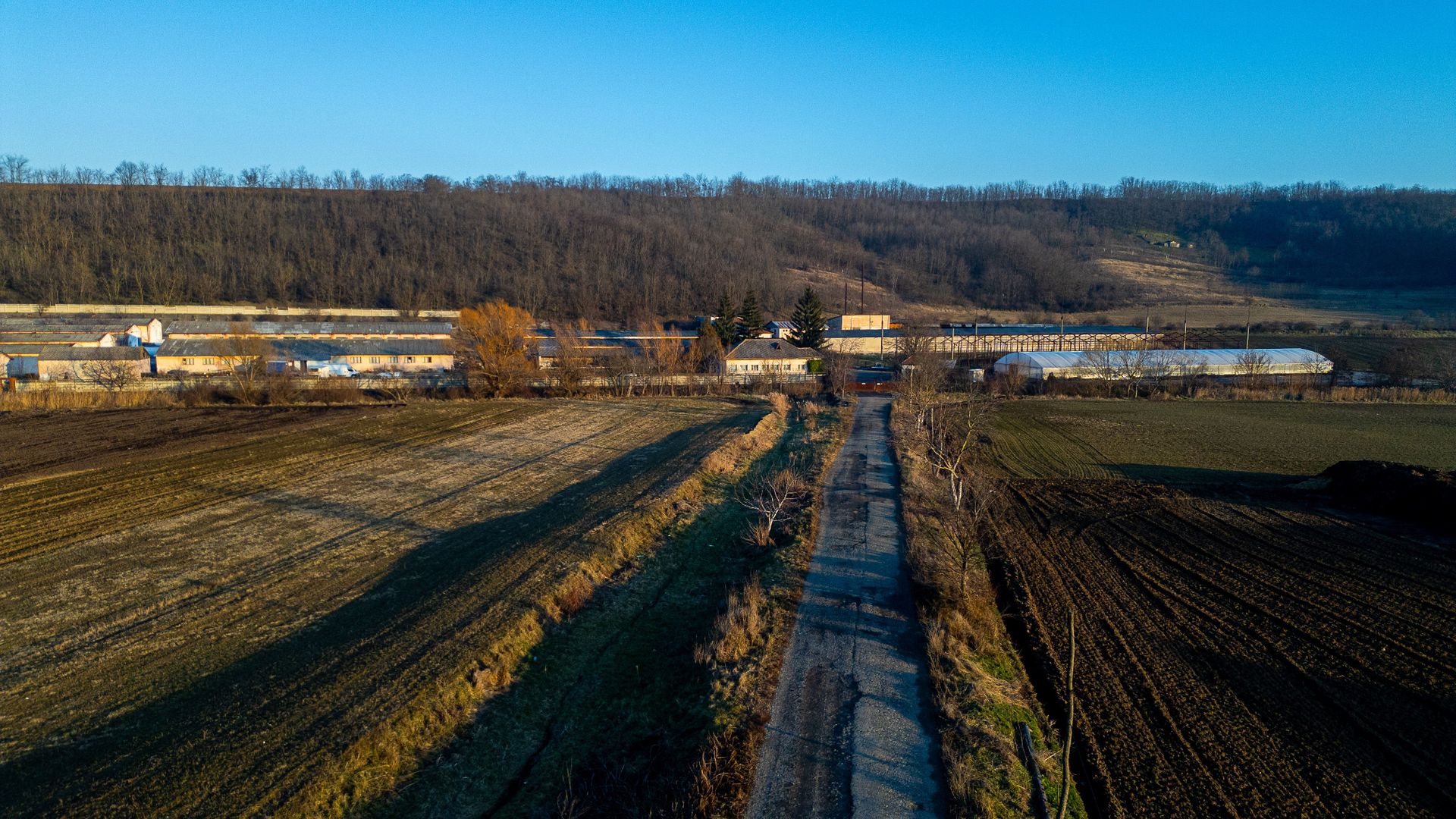 Fosta Ferma a Partidului de la Horgesti - de vanzare - Poză 5