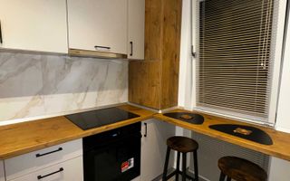 Apartament de închiriat, 1 cameră, Freya Residence, Bucium, Iași - Poză 4