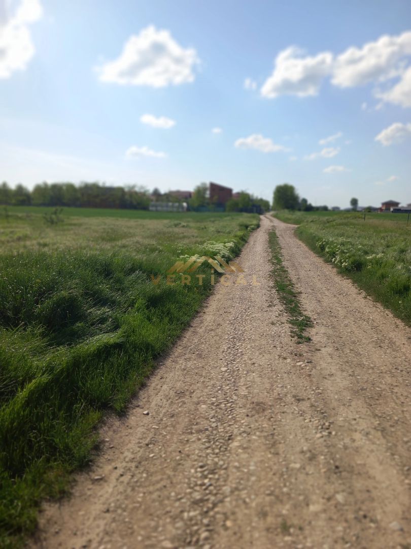 TERENURI INTRAVILANE PARCELATE – BERCENI / VIDRA, ILFOV - Poză 3
