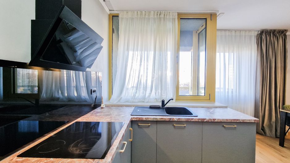 2 Camere Mobilat Modern | Aviatiei Park | Herastrau - Poză 11