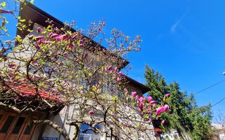 Apartament de 2 camere in cartierul boem Cotroceni - Poză 12