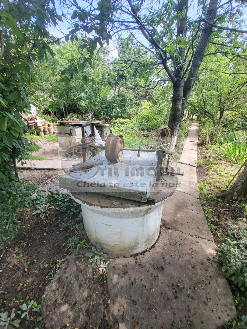 Casă individuala 4000mp teren com Alexandru Ioan Cuza sat Kogalniceni - Poză 8