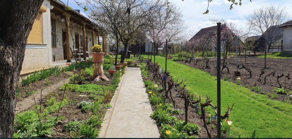 Vand casa in Com.Petresti, ultracentral, 42 ari teren - Poză 1