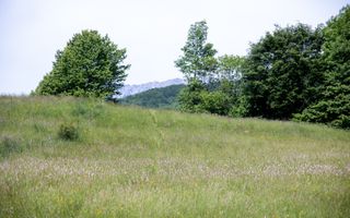 Teren intravilan - 1.050 mp în Bran cu utilitati – priveliște Bucegi - Poză 7