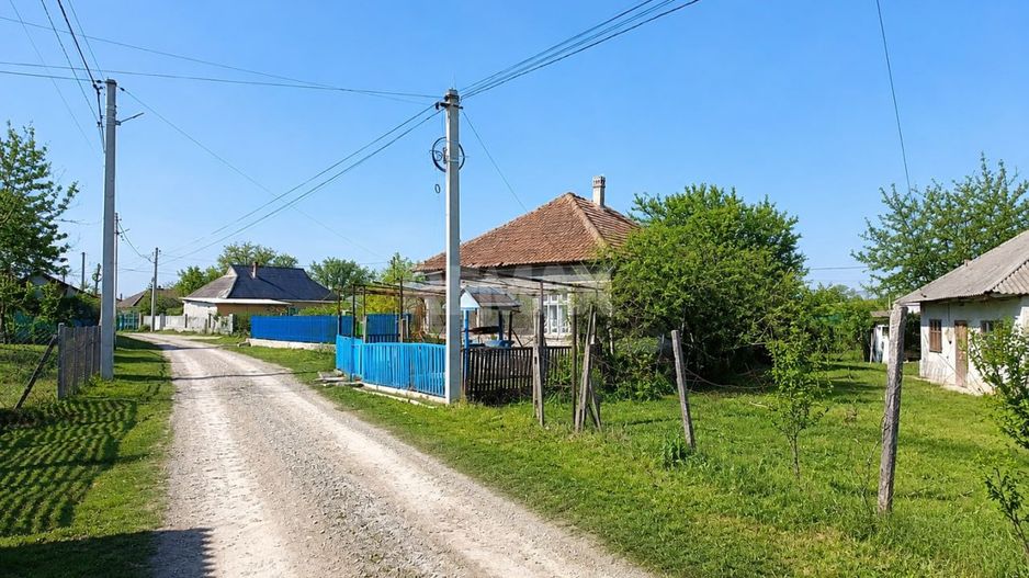 Teren 12 ari pentru casa ta lângă natură | gaz + curent | Isacova (Orhei) - Poză 12