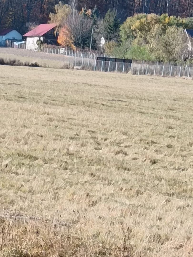 Teren langa Padure Dragomirna 40 Ari ISuceava/Dragomirna I 65.000Euro - Poză 2