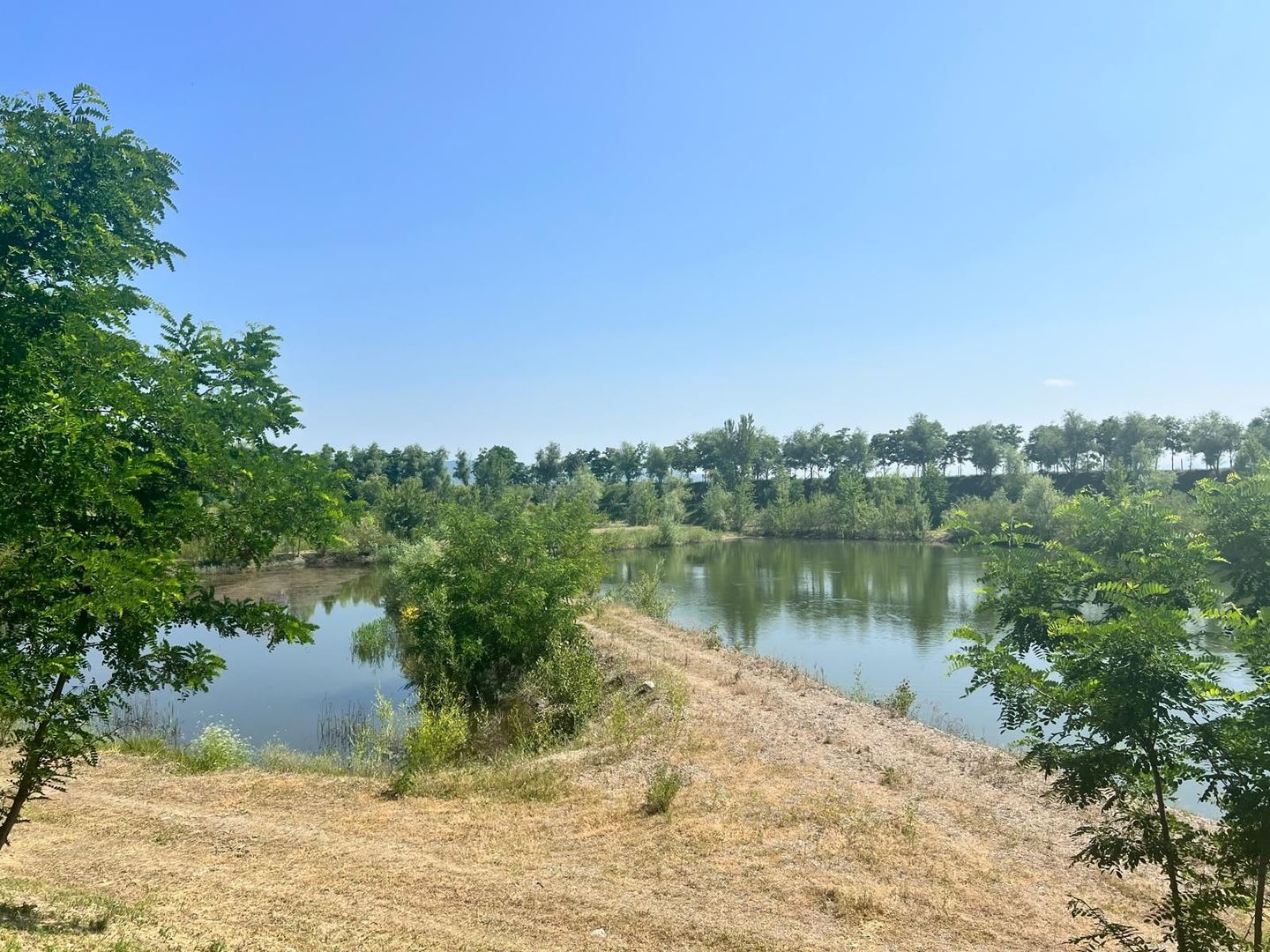 Iaz Piscicol Bacau Saucesti - Poză 8