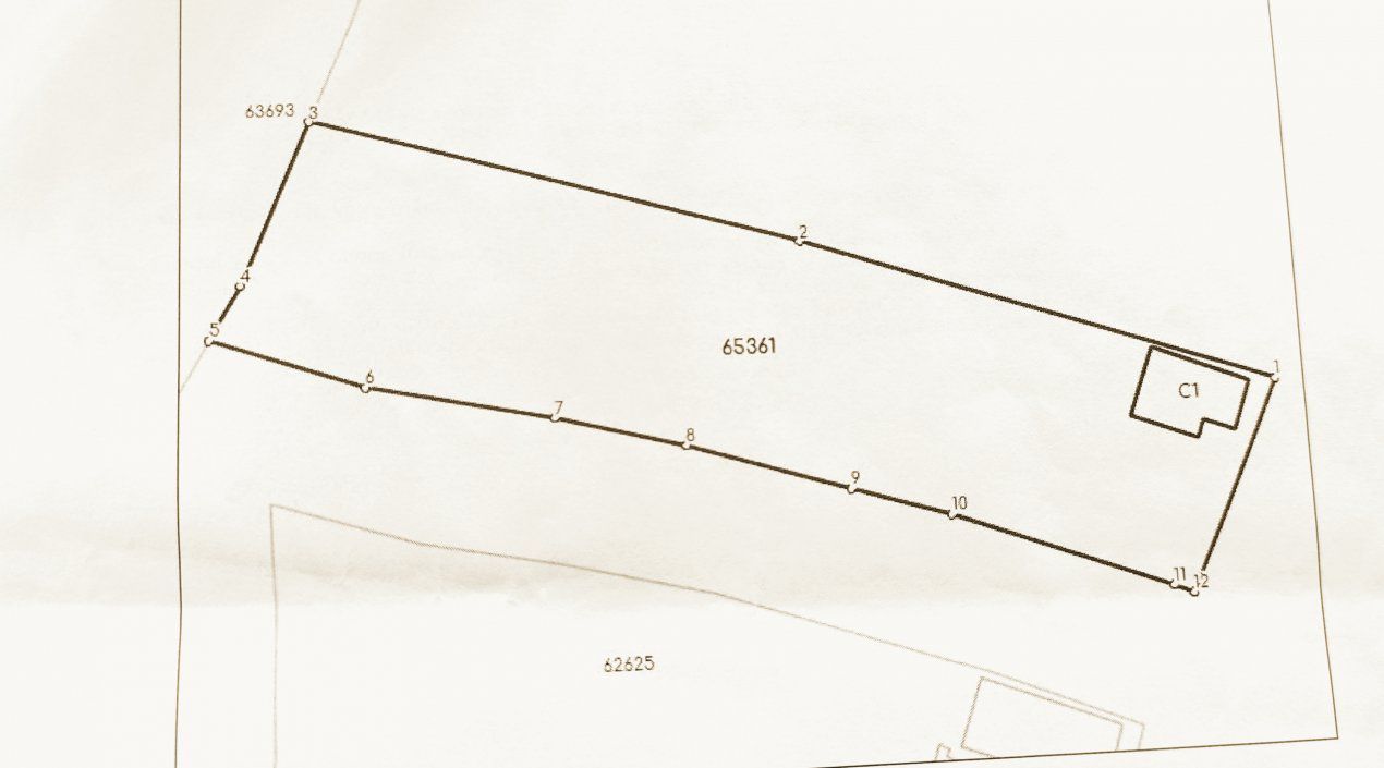 Casa cu teren generos | front 24.5 m - Poză 3