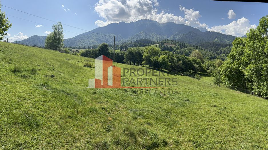 Teren cu priveliște spectaculoasă în Bran – Sohodol - Poză 1