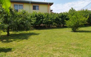 Vila impresionanta in Bucium - Visani - Str. Regina Maria - 2000 mp - Poză 16