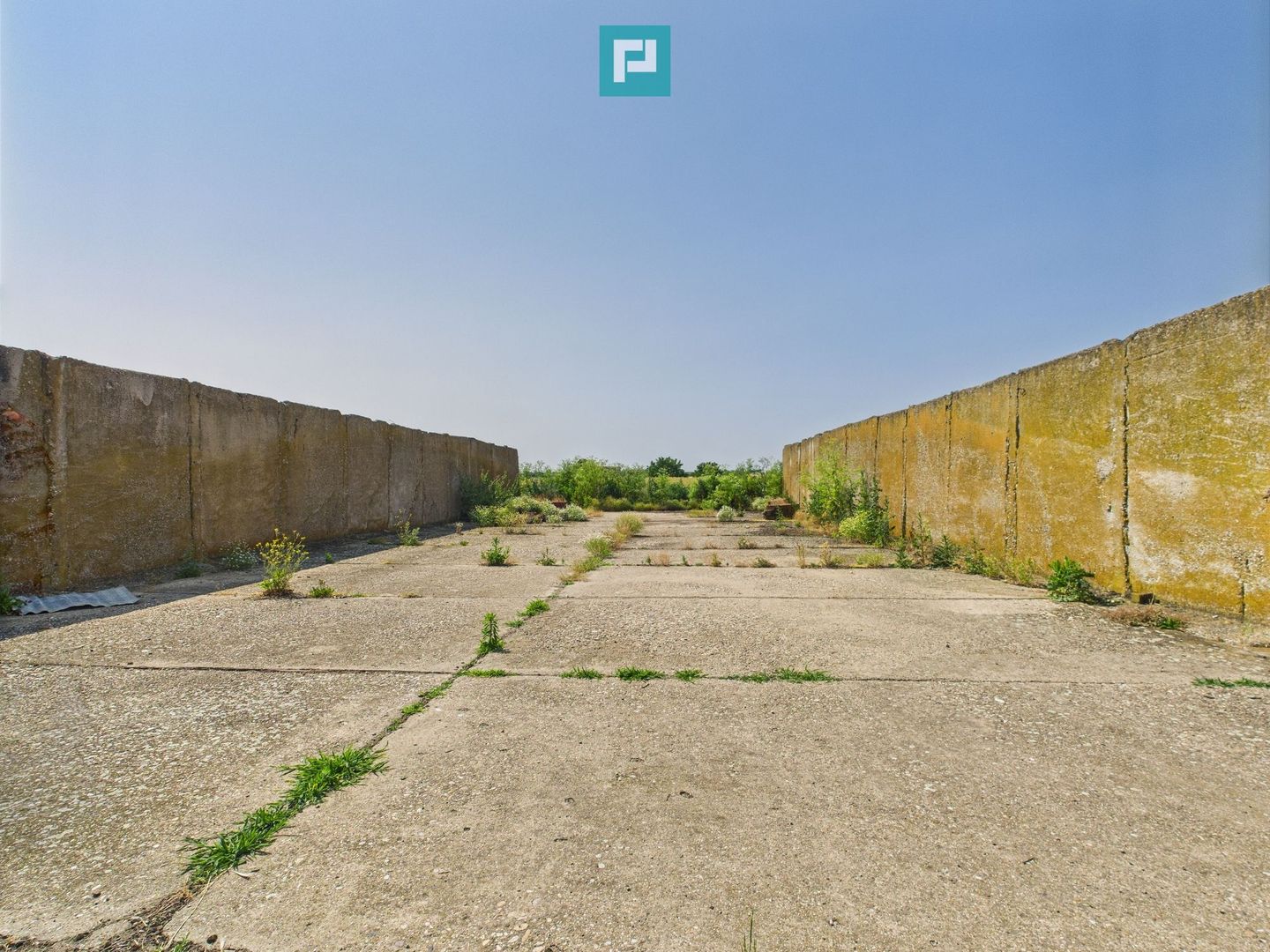 Complex industrial cu hale și teren  în Orțișoara - Poză 29