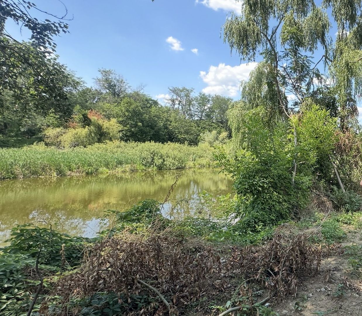 TEREN PIPERA CU DESCHIDERE LA LAC - Poză 3