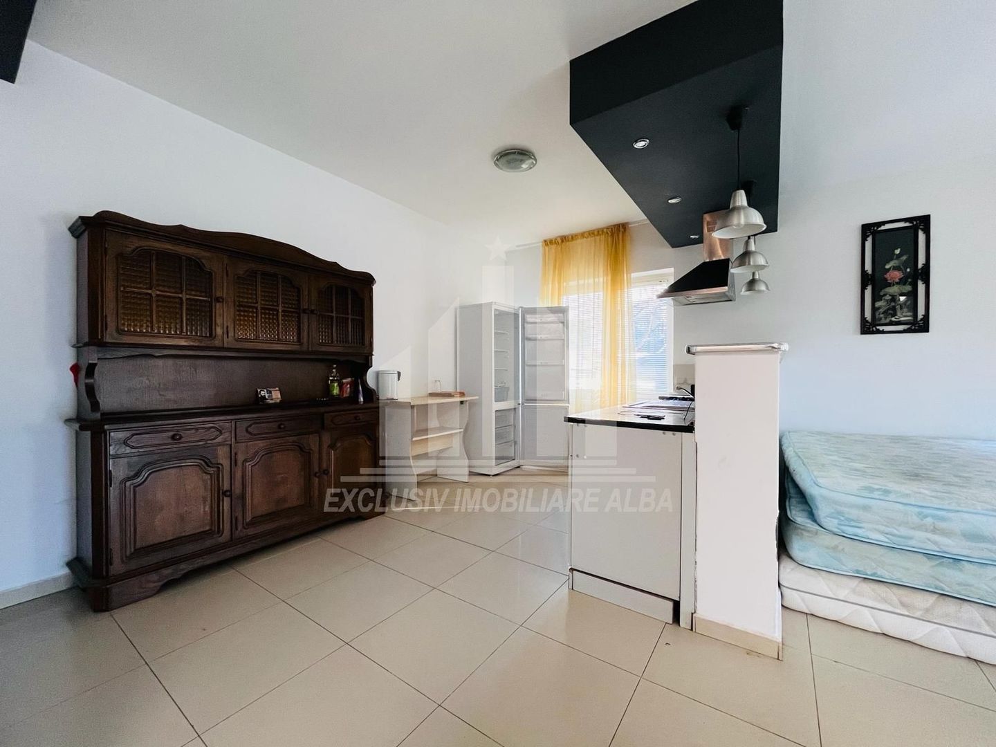 Casa de inchiriat in Cetate - Poză 4