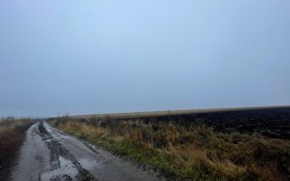 TEREN EXTRAVILAN | DOUA PARCELE| 70 ARI| IDEAL AGRICOL| CALAFINDESTI - Poză 7