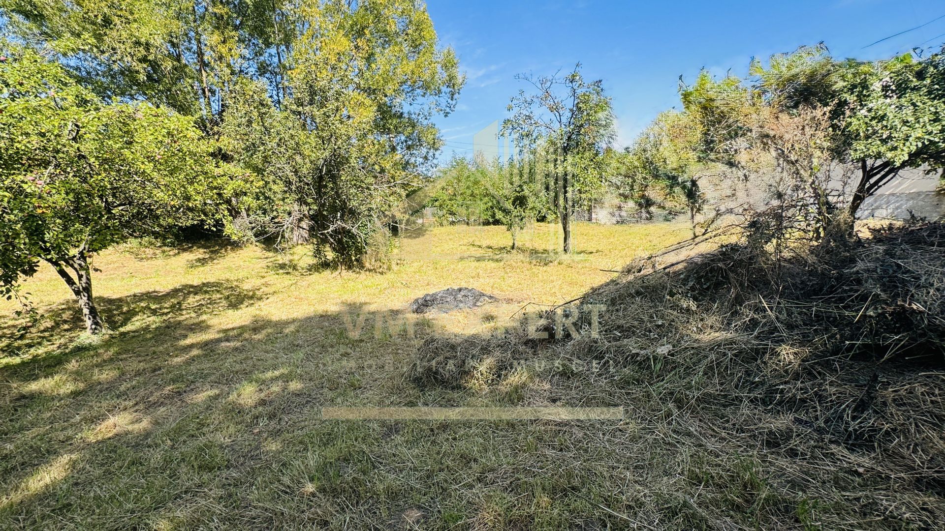 TEREN INTRAVILAN 3234 MP LEREȘTI VOINEȘTI ARGEȘ - Poză 30