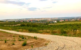 Teren Panoramic Superb, Paleu, Intravilan, 600-685mp - Poză 1