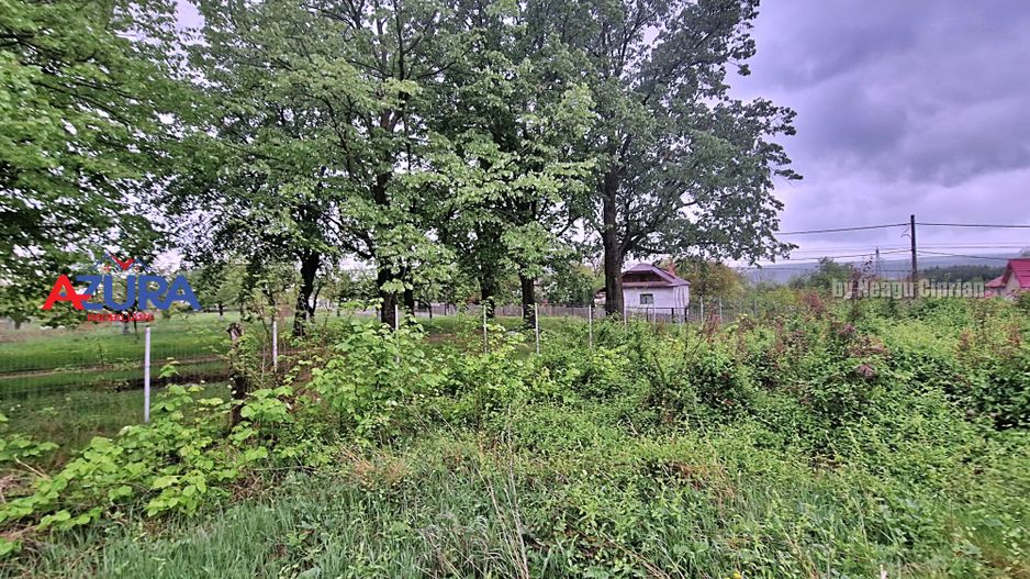 AZURA Imobiliare - Teren Budeasa Galasesti - Poză 6