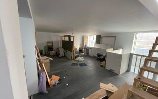 Spatiu comercial, 250mp, Zona Gheorghe Doja - Poză 2