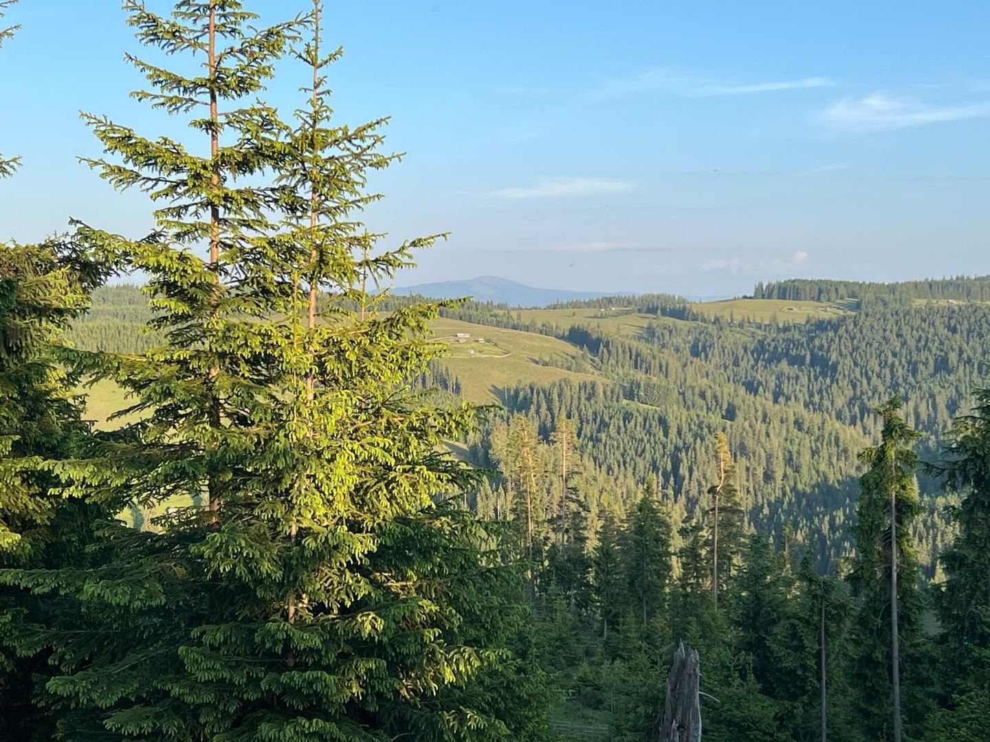 50 hectare teren | Moldova-Sulita | Potential turistic si agricol - Poză 7