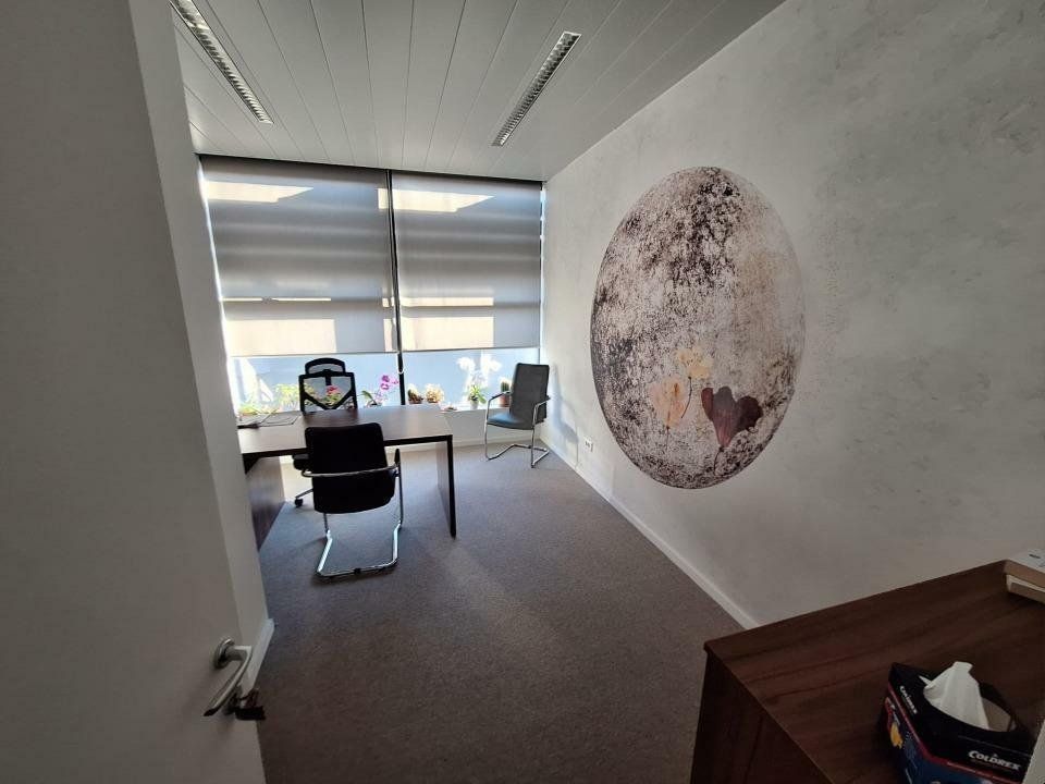 Inchiriere spatiu birouri One Herastrau Office - Poză 4