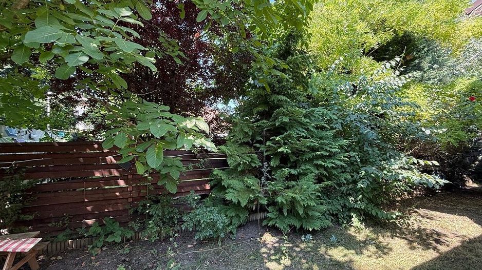 Inchiriere duplex 3 camere | Tunari | Pet friendly | Garaj - Poză 12