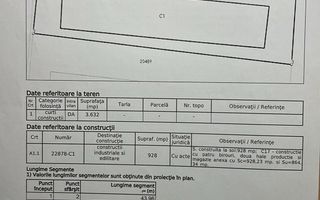 Teren Intravilan 9.950 mp Brazi Prahova - Poză 2