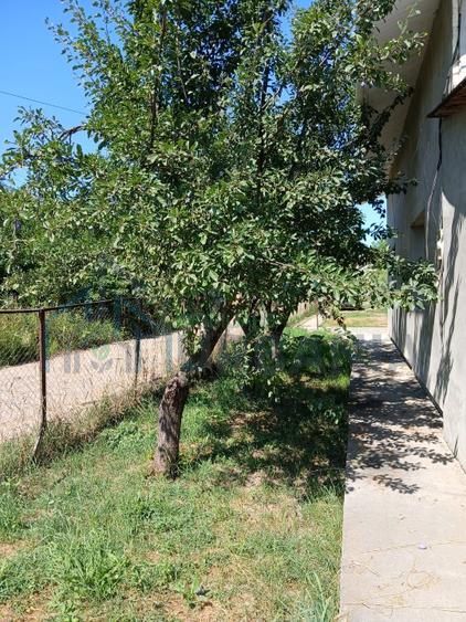 Casă de vânzare – Lunca Cetățuii, comuna Ciurea - Poză 3
