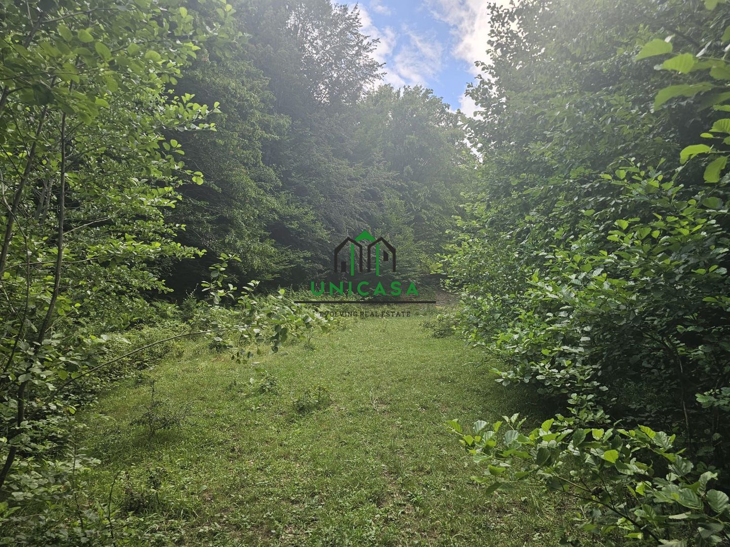 Teren extravilan  cu potential turistic - Brezoi - Poză 2