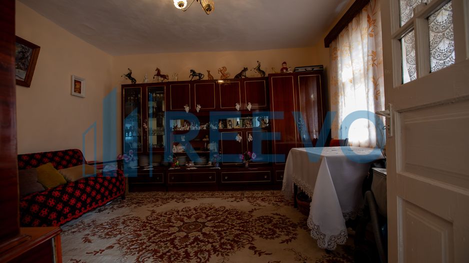 Casa si teren 3365mp Sascut - Poză 7