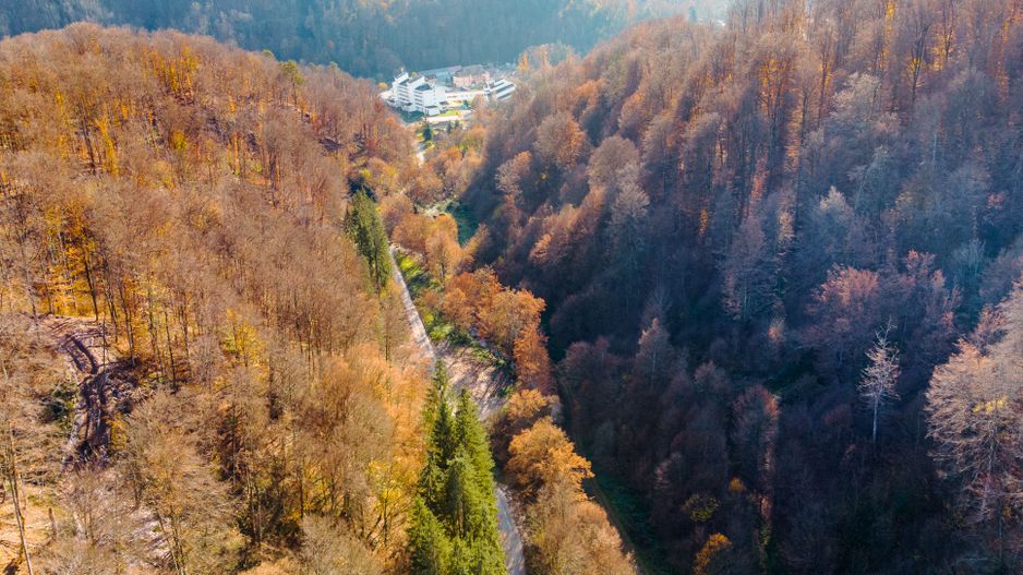 Teren central în Moneasa - Poză 2