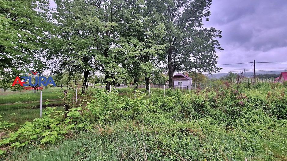 AZURA Imobiliare - Budeasa, Teren 5.069 mp, Casa BONUS - Poză 12