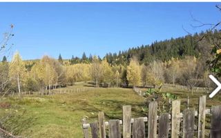 TEREN INTRAVILAN 2100 MP, LERESTI, PRET 42000 EURO - Poză 1